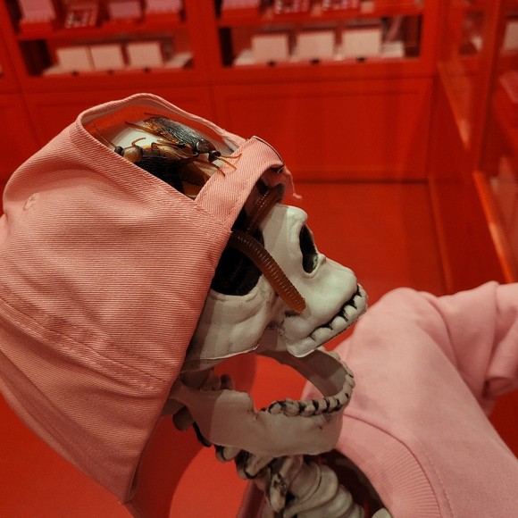 Meet your Posher, Renee - Picture 1 of 1